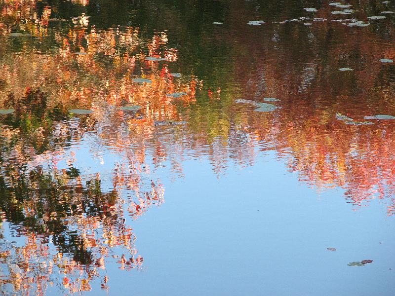 2008-10-11_Tiverton_Trustom 106.jpg